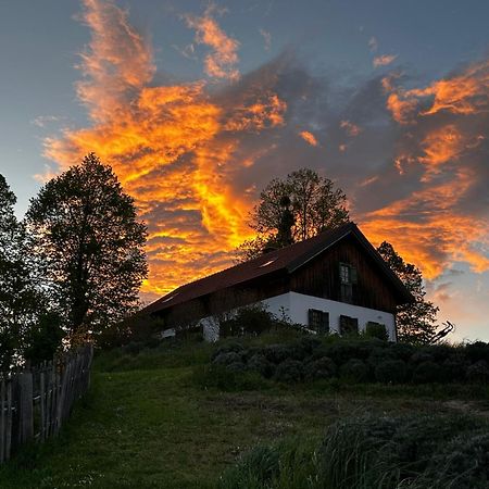 Pensjonat Estate Ana Ptuj Zewnętrze zdjęcie